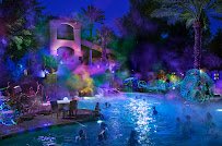 Sonoran Splash Pool photo 5