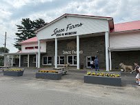 Space Farms: Zoo & Museum