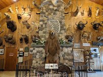 Space Farms: Zoo & Museum photo 3