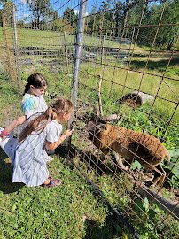 Space Farms: Zoo & Museum photo 4