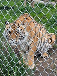 Space Farms: Zoo & Museum photo 5