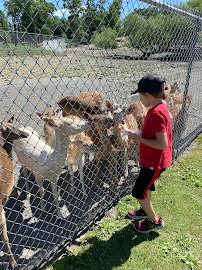 Space Farms: Zoo & Museum photo 6