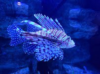 North Carolina Aquarium on Roanoke Island photo 5