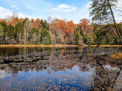 Bays Mountain Park & Planetarium photo 4