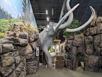 Columbia Gorge Discovery Center & Museum photo 6