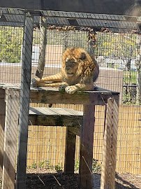 Washington Park Zoo, Michigan City Zoo photo 4