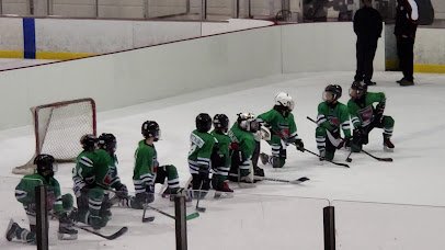The Rink Exchange photo 2