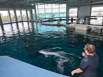 Clearwater Marine Aquarium