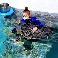 Clearwater Marine Aquarium photo 3