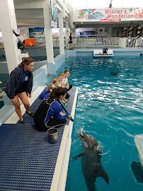 Clearwater Marine Aquarium photo 4