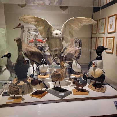 Museum of Natural History and Planetarium photo 4