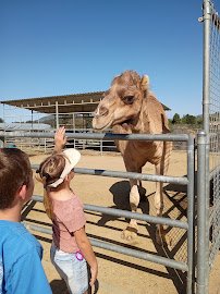 Sugarplum zoo photo 4