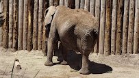 Utah's Hogle Zoo photo 2