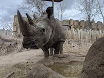 Utah's Hogle Zoo photo 3