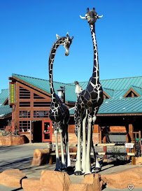 Utah's Hogle Zoo photo 6