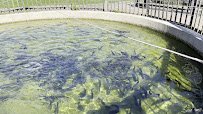 Cold Spring Harbor Fish Hatchery & Aquarium photo 2