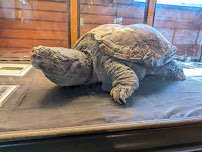 Cold Spring Harbor Fish Hatchery & Aquarium photo 4