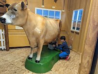 Lutz Children's Museum photo 5