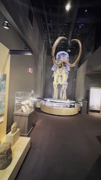 Museum of South Texas History photo 2