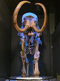 Museum of South Texas History photo 4
