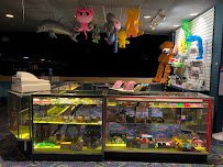 Skateworld of Vandalia photo 4