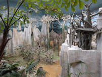 Tropic World photo 3