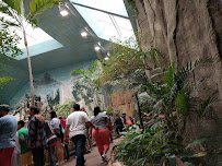 Tropic World photo 4