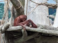 Tropic World photo 5