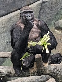 Tropic World photo 6