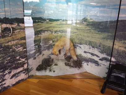 South Fork Natural History Museum & Nature Center photo 2
