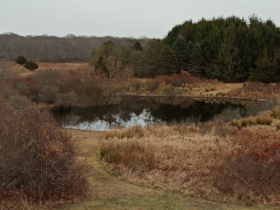 South Fork Natural History Museum & Nature Center photo 3