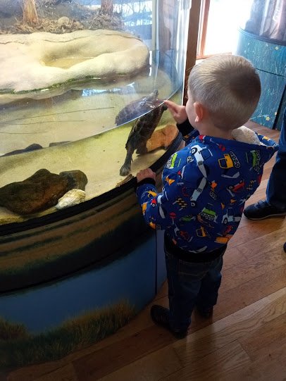 South Fork Natural History Museum & Nature Center photo 6