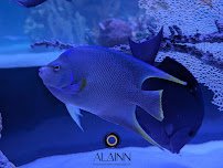 The Reptarium Annex photo 5