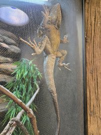 The Reptarium Annex photo 6