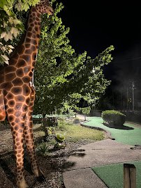Little T’s Mini Golf & More photo 5