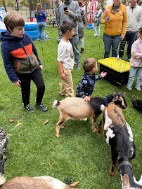 Enchanted Animal Parties