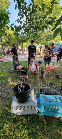Enchanted Animal Parties photo 5