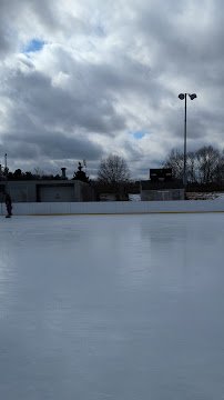 Jack Kirrane Ice Rink at Larz Anderson Park photo 2