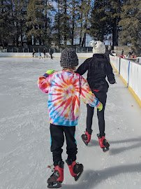 Jack Kirrane Ice Rink at Larz Anderson Park photo 6