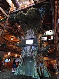 Great Wolf Lodge Indoor Water Park | Wisconsin Dells photo 4