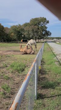 North Texas Safari Park photo 2