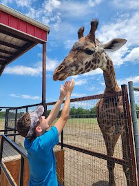 North Texas Safari Park photo 3
