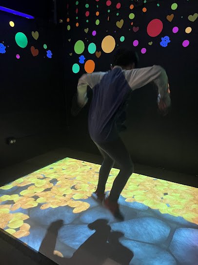 Family Interactive Gallery (FIG) at the Whatcom Museum photo 6