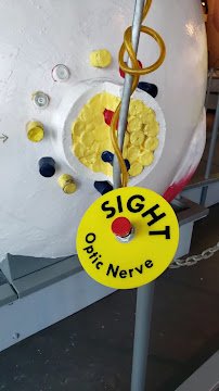 Discovery Center of Springfield photo 2