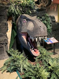 Discovery Center of Springfield photo 6