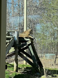 Animal Discovery Center photo 2