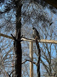 Animal Discovery Center photo 3