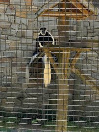Animal Discovery Center photo 4