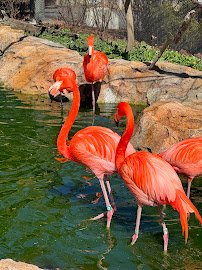 Animal Discovery Center photo 6