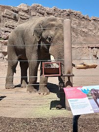 Albuquerque Zoo - Asia photo 3